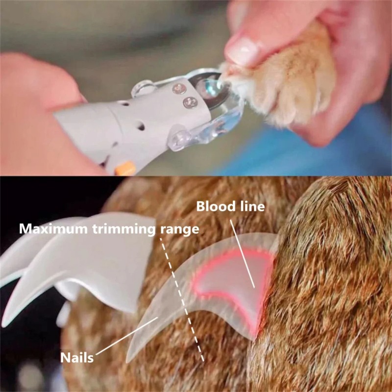 LEDライト付きペット用爪切り 1個 犬猫専用爪切り 多機能 - Model Kit Clipper のレビューと価格